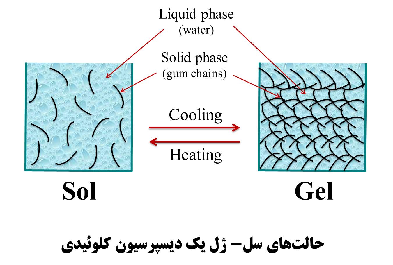 حالت سل-ژل یک دیسپرسیون کلوئیدی sol-gel forms